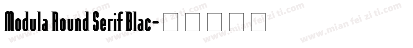 Modula Round Serif Blac字体转换